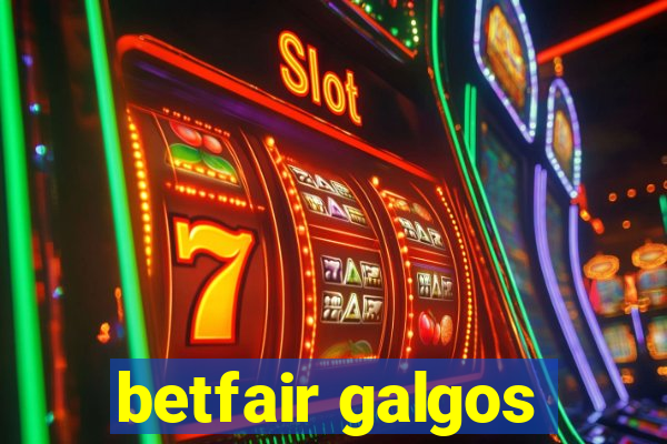 betfair galgos